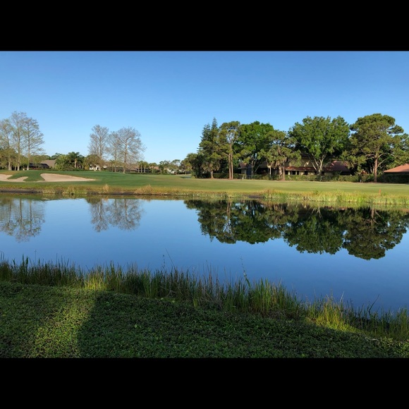 Meet your Posher, Niki - Picture 1 of 1